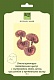 Ботаническая питательн. маска c экстр. гриба лин-чи, коллагеном и протеинами шелка (6шт)
